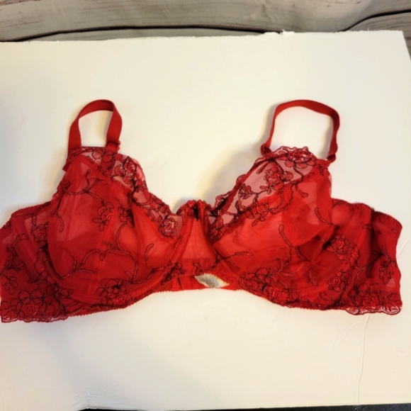 Felina Other - 𝅺Felina Lingerie red lace bra 36D